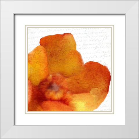 Bold Bloom 1 White Modern Wood Framed Art Print with Double Matting by Kimberly, Allen