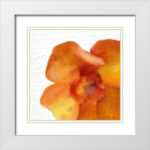 Bold Bloom 2 White Modern Wood Framed Art Print with Double Matting by Kimberly, Allen