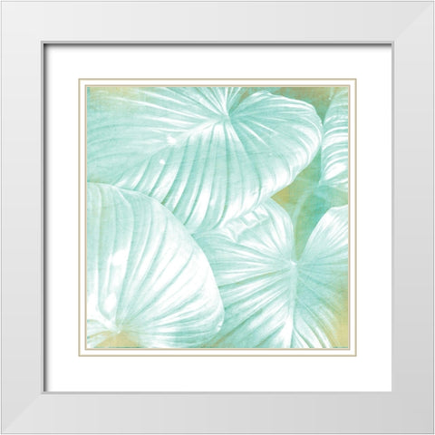 Tropics 1 White Modern Wood Framed Art Print with Double Matting by Kimberly, Allen