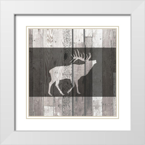 Wildlife 4 White Modern Wood Framed Art Print with Double Matting by Kimberly, Allen