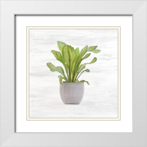 Spring Green 1 White Modern Wood Framed Art Print with Double Matting by Kimberly, Allen
