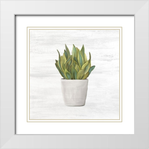 Spring Green 2 White Modern Wood Framed Art Print with Double Matting by Kimberly, Allen