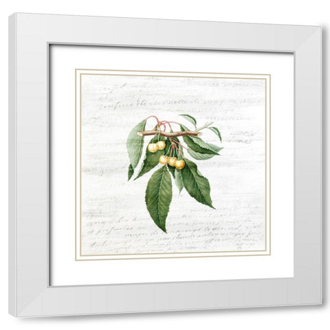 Cherries 1 White Modern Wood Framed Art Print with Double Matting by Kimberly, Allen