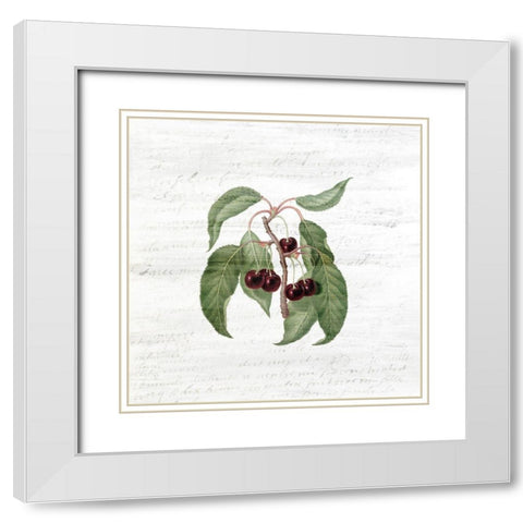 Cherries 2 White Modern Wood Framed Art Print with Double Matting by Kimberly, Allen