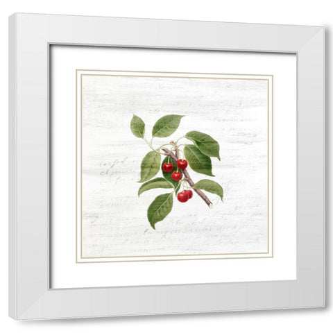 Cherries 3 White Modern Wood Framed Art Print with Double Matting by Kimberly, Allen