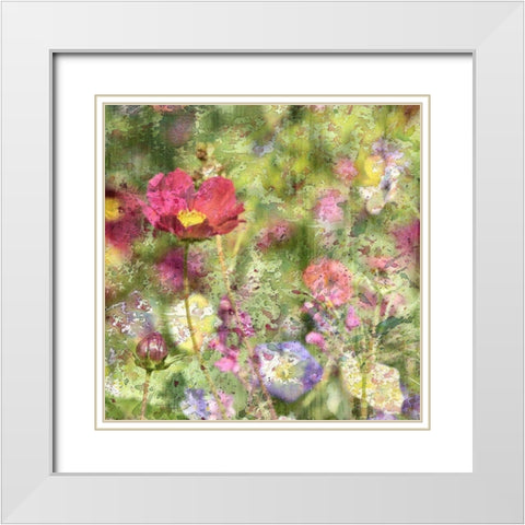 Wildflower Square 1 White Modern Wood Framed Art Print with Double Matting by Kimberly, Allen