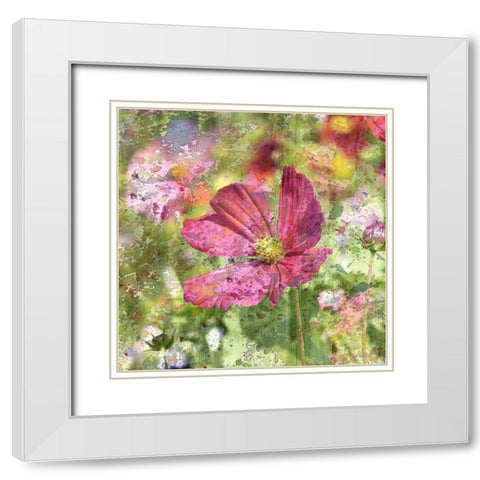 Wildflower Square 2 White Modern Wood Framed Art Print with Double Matting by Kimberly, Allen