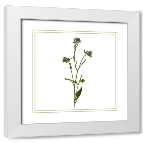 Family Gathers 5 White Modern Wood Framed Art Print with Double Matting by Kimberly, Allen