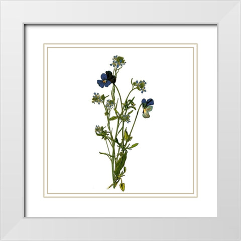 Family Gathers 6 White Modern Wood Framed Art Print with Double Matting by Kimberly, Allen