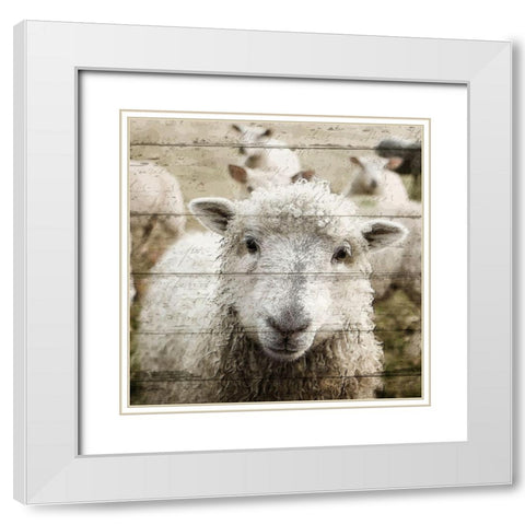 Farm Life 1 White Modern Wood Framed Art Print with Double Matting by Kimberly, Allen