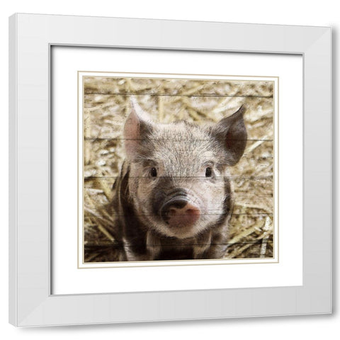 Farm Life 2 White Modern Wood Framed Art Print with Double Matting by Kimberly, Allen