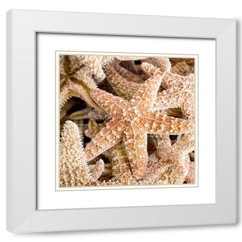 Starfish Beach 2 v2 White Modern Wood Framed Art Print with Double Matting by Kimberly, Allen