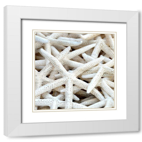 Starfish Beach 3 v2 White Modern Wood Framed Art Print with Double Matting by Kimberly, Allen