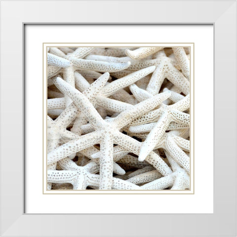 Starfish Beach 3 v2 White Modern Wood Framed Art Print with Double Matting by Kimberly, Allen