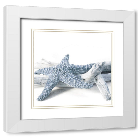 Starfish Beach 4 V3 White Modern Wood Framed Art Print with Double Matting by Allen, Kimberly