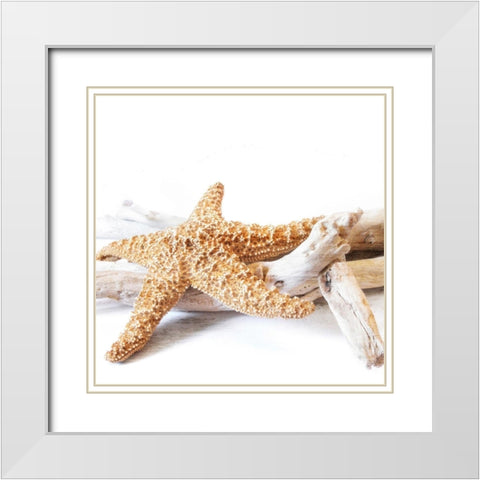 Starfish Beach 4 v2 White Modern Wood Framed Art Print with Double Matting by Kimberly, Allen