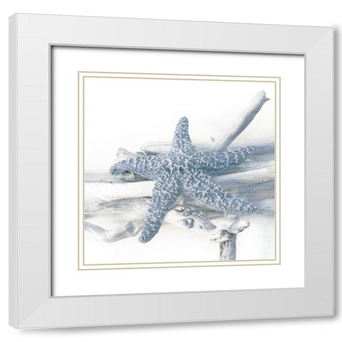 Starfish Beach 5 V3 White Modern Wood Framed Art Print with Double Matting by Allen, Kimberly