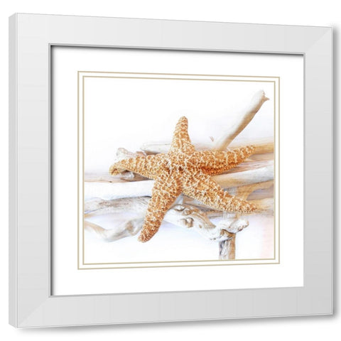 Starfish Beach 5 v2 White Modern Wood Framed Art Print with Double Matting by Kimberly, Allen