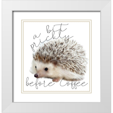 A Bit Prickly White Modern Wood Framed Art Print with Double Matting by Kimberly, Allen