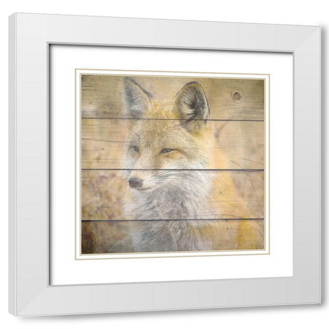 Woodland 2 White Modern Wood Framed Art Print with Double Matting by Kimberly, Allen
