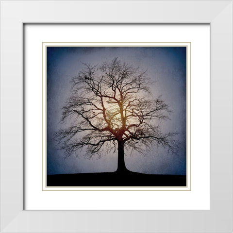Sunset Tree White Modern Wood Framed Art Print with Double Matting by Kimberly, Allen