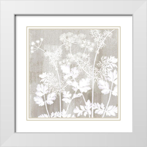 Neutral Botanical Square 2 White Modern Wood Framed Art Print with Double Matting by Kimberly, Allen
