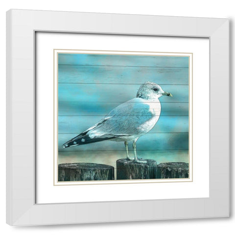 Coastal Life 5 White Modern Wood Framed Art Print with Double Matting by Kimberly, Allen