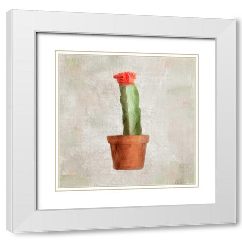 Potted Life 1 White Modern Wood Framed Art Print with Double Matting by Allen, Kimberly
