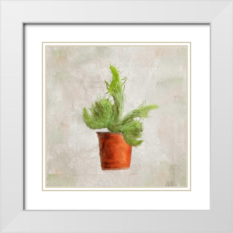 Potted Life 2 White Modern Wood Framed Art Print with Double Matting by Allen, Kimberly