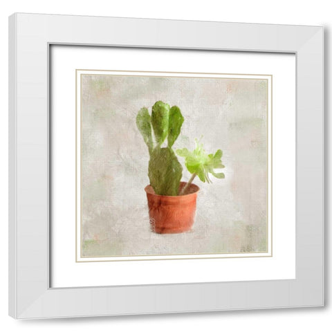 Potted Life 3 White Modern Wood Framed Art Print with Double Matting by Allen, Kimberly