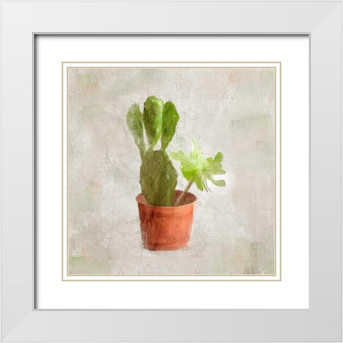 Potted Life 3 White Modern Wood Framed Art Print with Double Matting by Allen, Kimberly