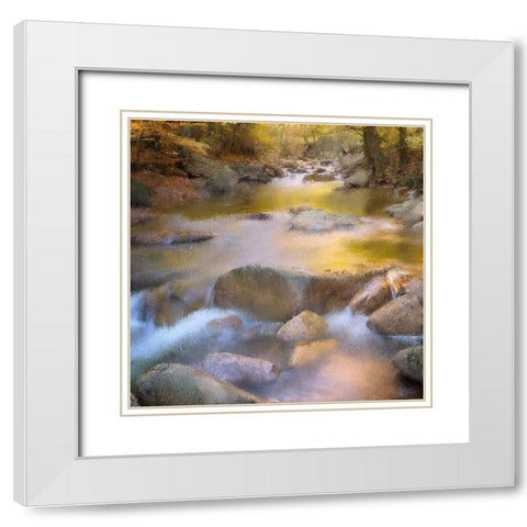 River Run White Modern Wood Framed Art Print with Double Matting by Kimberly, Allen