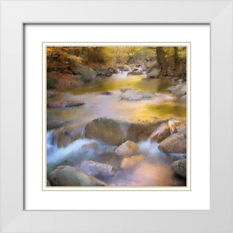 River Run White Modern Wood Framed Art Print with Double Matting by Kimberly, Allen