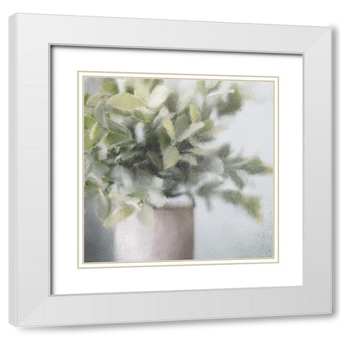 Frosted White Modern Wood Framed Art Print with Double Matting by Kimberly, Allen