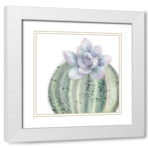 Succulent Speckled 2 White Modern Wood Framed Art Print with Double Matting by Kimberly, Allen