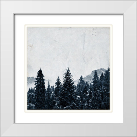 Wander Woods White Modern Wood Framed Art Print with Double Matting by Kimberly, Allen