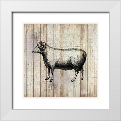 Farm Life 2 White Modern Wood Framed Art Print with Double Matting by Allen, Kimberly