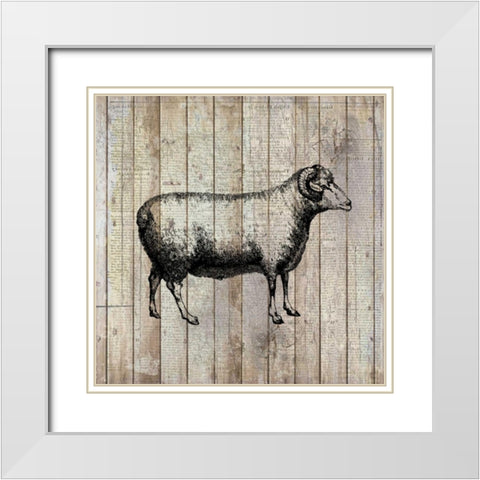Farm Life 2 White Modern Wood Framed Art Print with Double Matting by Allen, Kimberly