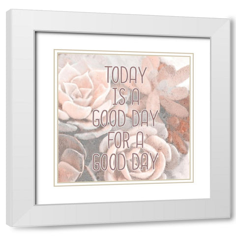 Succulents 1 White Modern Wood Framed Art Print with Double Matting by Kimberly, Allen