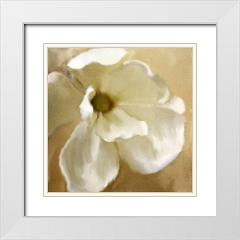 Magnolia Bloom White Modern Wood Framed Art Print with Double Matting by Kimberly, Allen