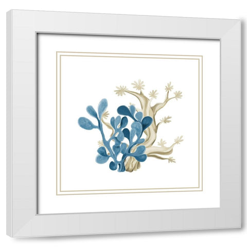 Coastal Coral 3 White Modern Wood Framed Art Print with Double Matting by Kimberly, Allen