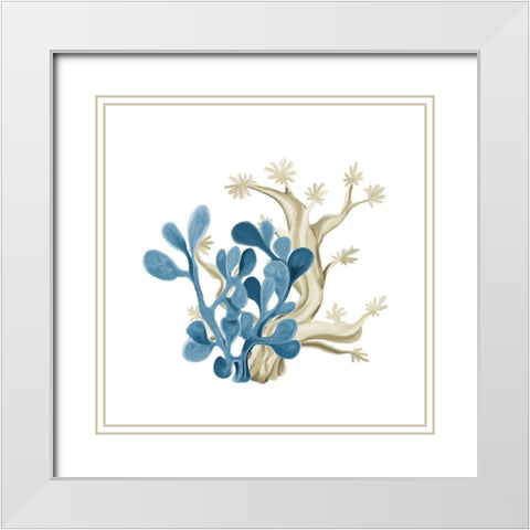 Coastal Coral 3 White Modern Wood Framed Art Print with Double Matting by Kimberly, Allen