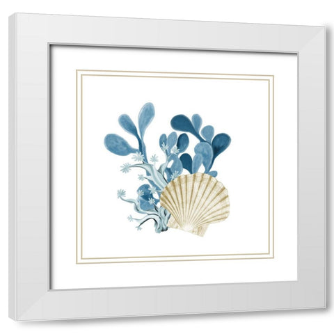 Coastal Coral 5 White Modern Wood Framed Art Print with Double Matting by Kimberly, Allen
