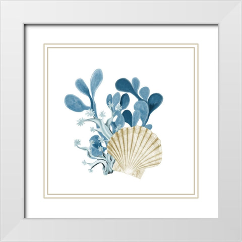 Coastal Coral 5 White Modern Wood Framed Art Print with Double Matting by Kimberly, Allen