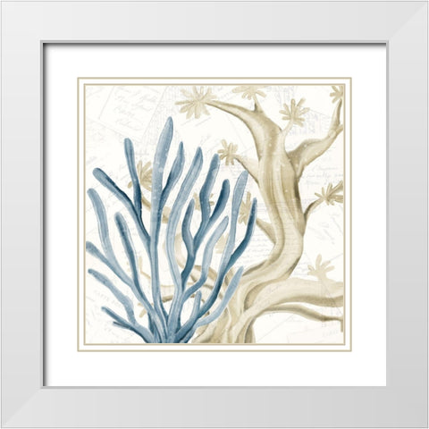 Coral Square 1 White Modern Wood Framed Art Print with Double Matting by Kimberly, Allen