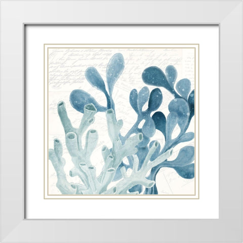 Coral Square 2 White Modern Wood Framed Art Print with Double Matting by Kimberly, Allen