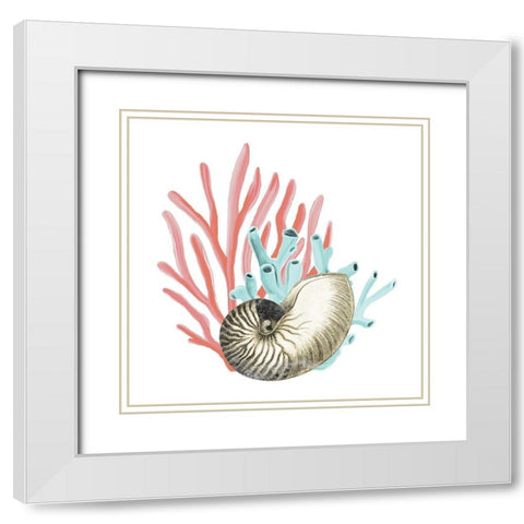 Coral Coastal 2 White Modern Wood Framed Art Print with Double Matting by Kimberly, Allen