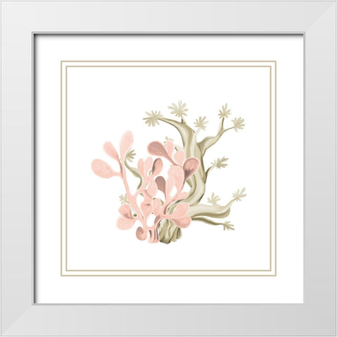 Coral Coastal 3 White Modern Wood Framed Art Print with Double Matting by Kimberly, Allen