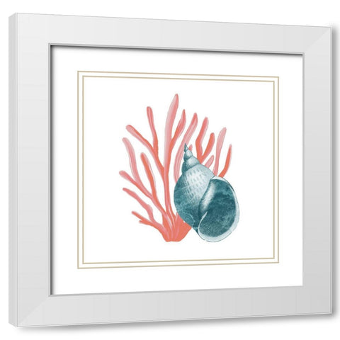 Coral Coastal 4 White Modern Wood Framed Art Print with Double Matting by Kimberly, Allen