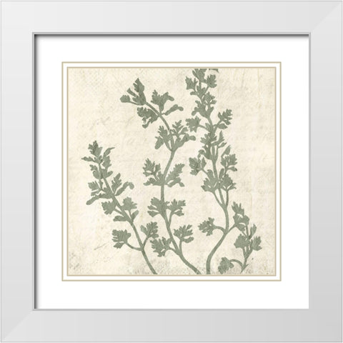Sage 1 White Modern Wood Framed Art Print with Double Matting by Kimberly, Allen